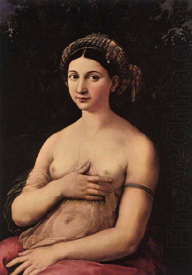 RAFFAELLO Sanzio Portrait of a Young Woman